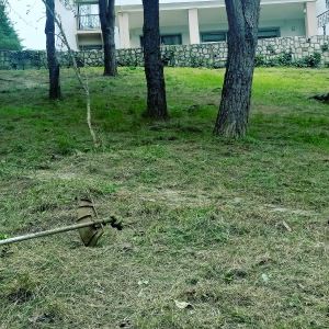 Urla İzmir bahçe temizliği ot biçme